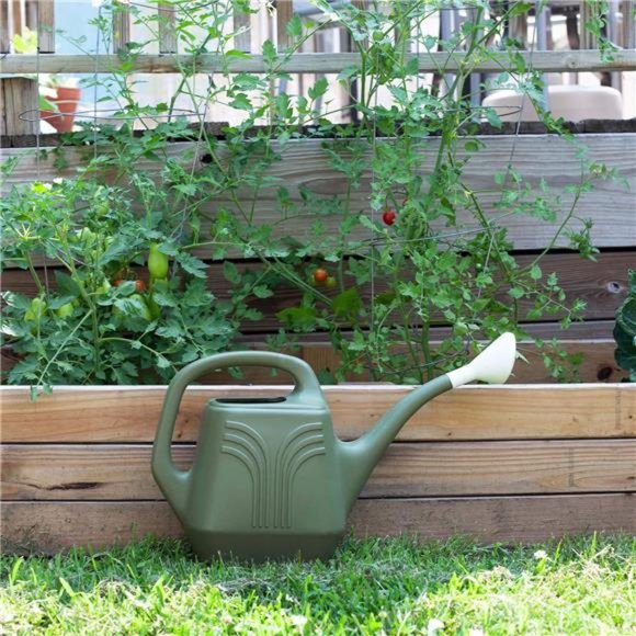 Watering Can 2 Gallon Capacity - Removable Nozzle Spout, Two Handles, Wide Mouth - Picture 2 of 6